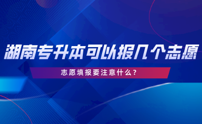 湖南專升本可以報(bào)幾個(gè)志愿？志愿填報(bào)要注意什么.png