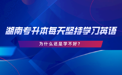 湖南專升本每天堅(jiān)持學(xué)習(xí)英語，為什么還是學(xué)不好.png