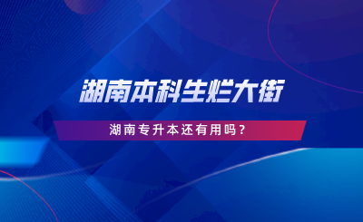 湖南本科生爛大街，湖南專升本還有用嗎.png