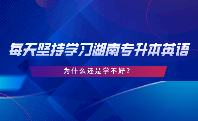 每天堅(jiān)持學(xué)習(xí)湖南專(zhuān)升本英語(yǔ)，為什么還是學(xué)不好.png