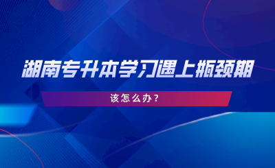 湖南專升本學(xué)習(xí)遇上瓶頸期，該怎么辦.png