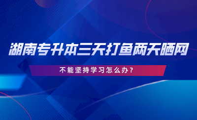 2024年湖南專升本三天打魚兩天曬網(wǎng)，不能堅持學習怎么辦.png