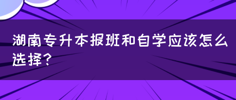 湖南專升本報班和自學(xué)應(yīng)該怎么選擇？(圖1)