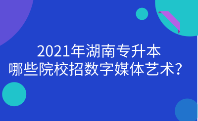 2021年湖南專升本哪些院校招數(shù)字媒體藝術(shù)？.png