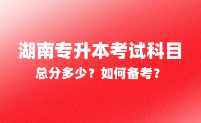 2025年湖南專升本考試科目總分多少？如何備考？