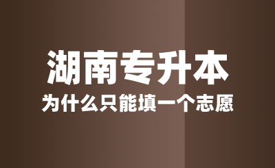 湖南專升本為什么只能填一個志愿？