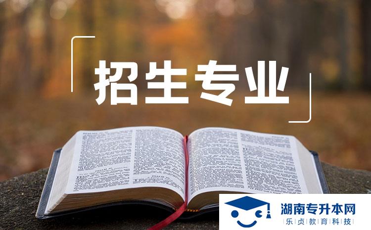 2022年湖南省單招應(yīng)用外語（國(guó)際合作方向）專業(yè)有哪些學(xué)校(圖1)