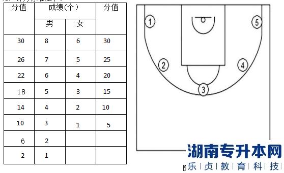 2023年邵陽(yáng)學(xué)院專(zhuān)升本籃球測(cè)試細(xì)則及評(píng)分標(biāo)準(zhǔn)(圖3)