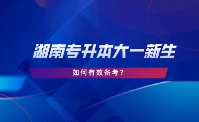 湖南專升本大一新生如何備考？新生必看指南！