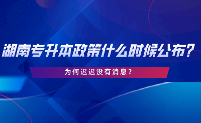 2024年湖南專(zhuān)升本政策什么時(shí)候公布？為何遲遲沒(méi)有消息.png